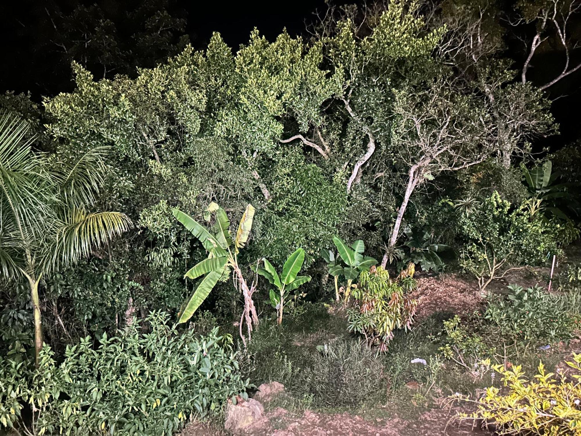 מוניקירה Casa Los Naranjales מראה חיצוני תמונה